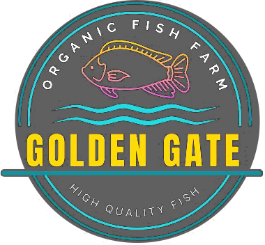 Logo1
